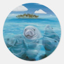 Search for manatee stickers Dolphin