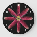 Search for corn clocks Maize