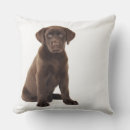 Search for chocolate labrador cushions Animal