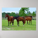 Search for horse ranch art Brown
