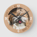 Search for shih tzu clocks Dog
