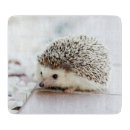 Search for hedgehog chopping boards Cute