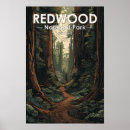 Search for redwood posters Redwood national park