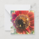 Search for bee note cards Encouragement
