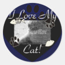 Search for pussies stickers Cat