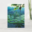 Search for rice terraces postcards Tropical