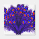 Search for peacock feather magnets Feathers