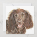 Search for cocker spaniel cards Dog
