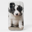 Search for border collie iphone cases Puppy