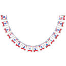 Search for red white blue bunting flags Party