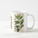 Search for herb mugs Cooking
