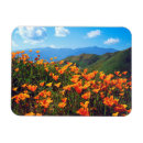 Search for hillside magnets Countryside