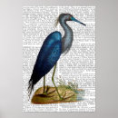 Search for herons posters Blue