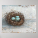 Search for nests posters Rustic