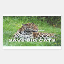 Search for jaguar stickers Panthera onca