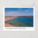 Search for sheikh Sharm el sheikh