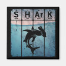 Search for hammerhead shark magnets Sea