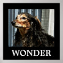 Search for wonderful posters Motivational
