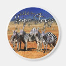 Search for zebra stripes magnets Africa