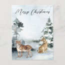 Search for lynxes postcards Winter