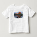 Search for swiftcurrent tshirts National park