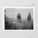 Search for kill postcards Photograph