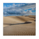 Search for dune tiles Photography