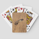 Search for owl playing cards Raptor