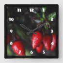Search for chilli clocks Hot pepper