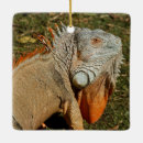 Search for grass green christmas tree decorations Animal