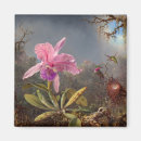 Search for orchids magnets Exotic