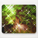 Search for firefly electronics Summer
