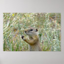 Search for grounds posters Colorado