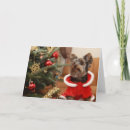 Search for yorkie christmas cards Green