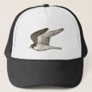 Search for hawk bird hats Nature