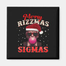 Search for sigma magnets Democrat