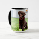 Search for fetch mugs Labrador retriever