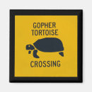 Search for tortoise magnets Blue