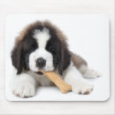 Search for bernard electronics Animals