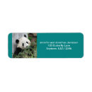 Search for panda bear return address labels China