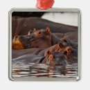 Search for hippo christmas decor Wildlife