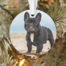 Search for sand christmas tree decorations Animals