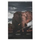 Search for africa calendars Zebra