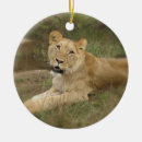 Search for lioness christmas tree decorations Lions