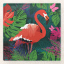 Search for tropical butterfly coasters Background