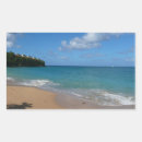 Search for lucia stickers Tropical