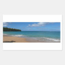 Search for lucia stickers Tropical