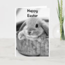 Search for jokes easter cards Rabbit
