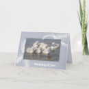 Search for baby swan cards Nature
