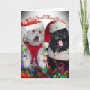 Search for cockapoo christmas cards Lights